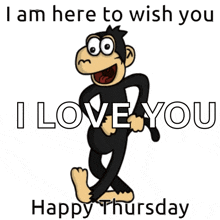 Monkey Thursday GIF