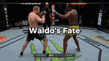 two men are fighting in a boxing ring and the words waldo 's fate are on the bottom