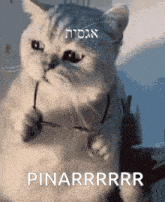 Pinar GIF - Pinar GIFs