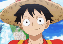 luffy from one piece is wearing a straw hat