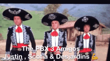 Pbx Amigos GIF - Pbx Amigos GIFs