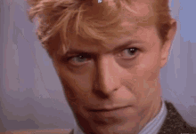 David Bowie Bowie GIF - David Bowie Bowie What GIFs
