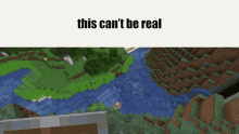 Minecraft Meme GIF - Minecraft Meme This Cant Be Real GIFs