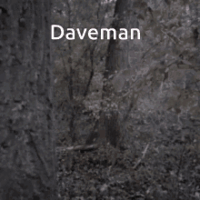 Dave Dave Knees GIF - Dave Dave Knees Daveman GIFs