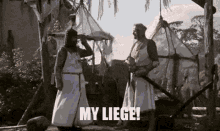My Liege Monty Python GIF - My Liege Monty Python Holy Grail GIFs