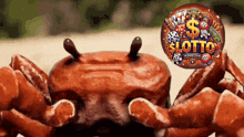 a crab is in front of a lottery logo