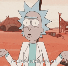 rick from rick and morty says sounds like a plan