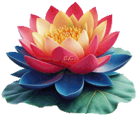 a painting of a lotus flower with the letters a.c. on the center