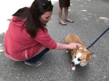 a woman in a pink shirt petting a brown and white dog