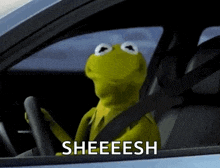 kermit the frog is sitting in the driver 's seat of a car and says sheeesh .