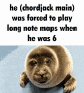 a picture of a seal with the words he ( chordjack main ) was forced to play long note maps when he was 6 below it