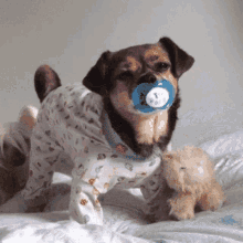 Bedtime Cute GIF - Bedtime Cute Puppy GIFs