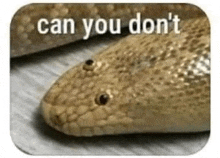 a picture of a snake with the words `` can you don 't '' written on it .