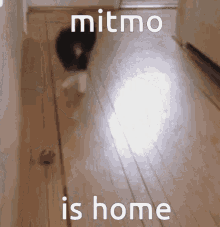 Mitmo Is Home Mitmo Came Home GIF - Mitmo Is Home Mitmo Came Home Mitmo GIFs