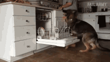 Dishes Helping GIF - Dishes Helping I Got You GIFs