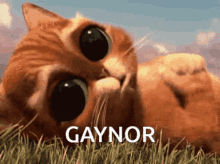 Puss In Boots Robert Gaynor GIF - Puss In Boots Robert Gaynor Puss In Gaynor GIFs