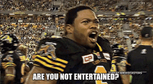 Hamilton Tiger Cats Are You Not Entertained GIF - Hamilton Tiger Cats Are You Not Entertained Is It Not Why Youre Here GIFs