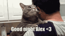 Good Night Good Night Alex GIF - Good Night Good Night Alex Alex GIFs