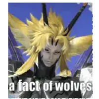 a picture of a wolf with the words " a fact of wolves " on it