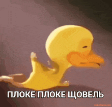 a picture of a duck with a caption in a foreign language