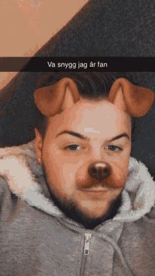 a man wearing a dog mask with the words va snygg jag ar fan written on the bottom
