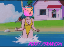 Pussyfinancial Pussy Cat Doge Coin Car Memecoin Altcoin GIF