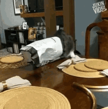 Cat Fail Cat Head In Bag GIF - Cat Fail Cat Head In Bag Fall Off Table GIFs