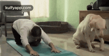 yoga with pets nayanthara heroine gif trending