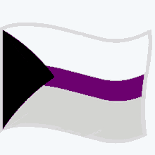 demisexual demisexuality flag bandeira flag waving