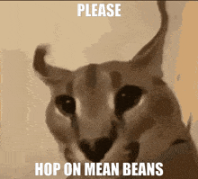 Mean Beans GIF - Mean Beans GIFs