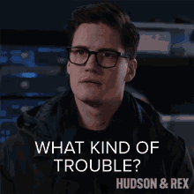 What Kind Of Trouble Jesse Mills GIF - What Kind Of Trouble Jesse Mills Hudson And Rex GIFs