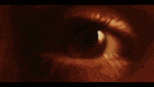 Eye Vision GIF - Eye Vision Universe GIFs