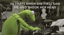 Kermit Replying GIF