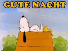 Gute Nacht Snoopy - Gute Nacht GIF - Gute Nacht Gute Nacht Snoopy Schlafen GIFs