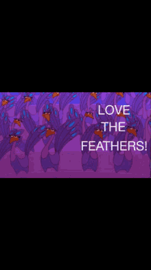 Love The GIF - Love The Feathers GIFs