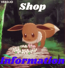 eevee shop information