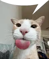 a cat with a pink tongue sticking out