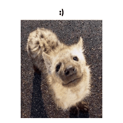 Hyena Yeen Sticker - Hyena Yeen Smile Stickers