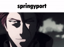 Springyport GIF - Springyport GIFs