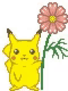 pokemon pikachu flower
