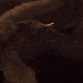 a close up of a person 's hand reaching for something