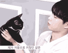 Korean Kiss GIF - Korean Kiss Cat GIFs