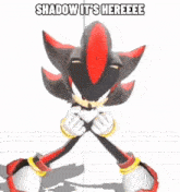 Shadow The Hedgehog Shadow Hedgehog GIF - Shadow The Hedgehog Shadow Hedgehog Shadow Year GIFs