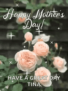happy mother 's day ! have a great day tina
