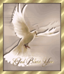 Dove God Bless You GIF - Dove God Bless You GIFs