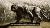 a picture of a lion with the words " our journey begins 230 million years ago " below it