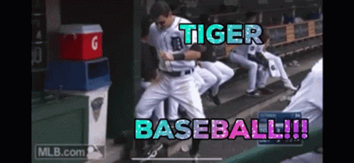 Detroit Tiger Baseball GIF - Detroit Tiger Baseball - Discover & Share GIFs