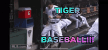 Detroit Tiger Baseball GIF - Detroit Tiger Baseball GIFs
