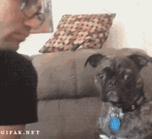 Dog Rejects Man GIF