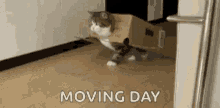 Moving Day Box GIF - Moving Day Box Cute GIFs
